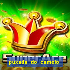 puxada do camelo no jogo do bicho